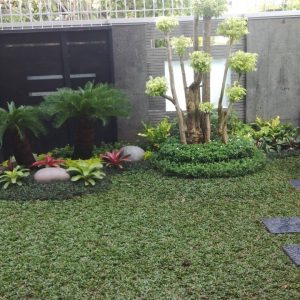Taman-3